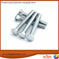 brightfast high quality carriage bolts