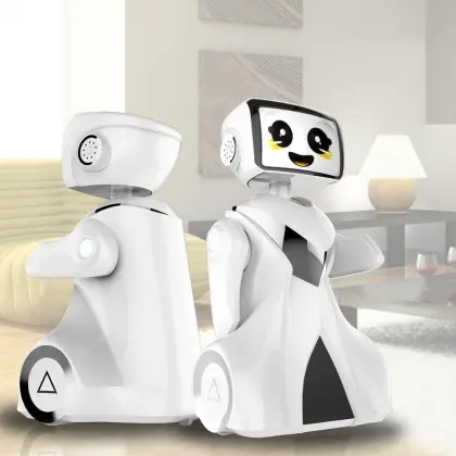 AI Service Care Robot Product Design & Development