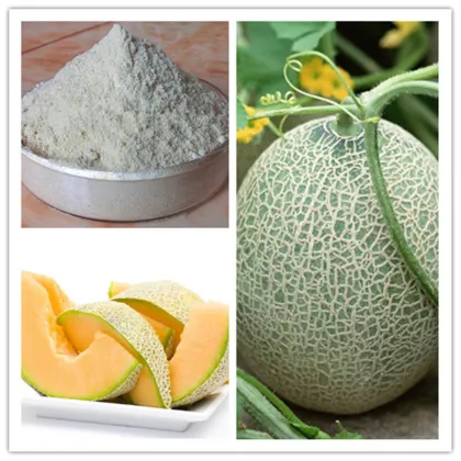 Instant Hami Melon Fruit Juice Powder