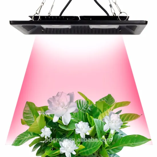 Full Spectrum LED Grow Light for Greenhouse Hydroponic Led Grow Light COB