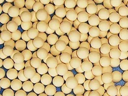 Molecular Sieve 3A series