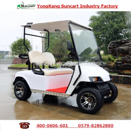 Colorful 2 Passenge Golf Cart,Golf Cart ,Electric golf cart for sale, Hotel electric golf cart ,Mini electric golf cart