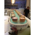 Magnetic food conveyor belt