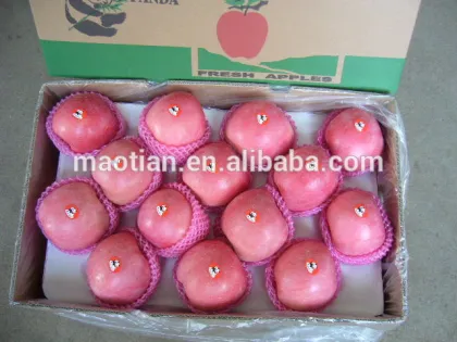 Fruit Apple rich of Vitamin C