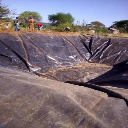 40 Mils HDPE Waterproof Impermeable Linerfor Dam