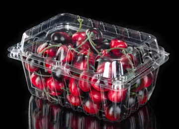 Blister Packaging Clear Plastic Clamshell Food Containers