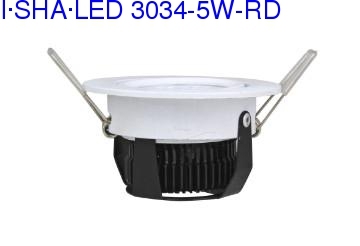 5W-RD LED commercial down light