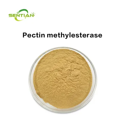 Food Grade Pectin Methylesterase (PME)