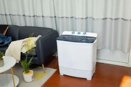 6.5kg double bucket washing machine