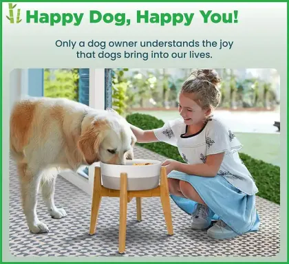 pet products top sellers trending pet products Wood Elevated smart slow bird feeder pet bowls&feeders