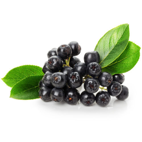 water soluble Wild Cherry Powder Aronia Berry Extract