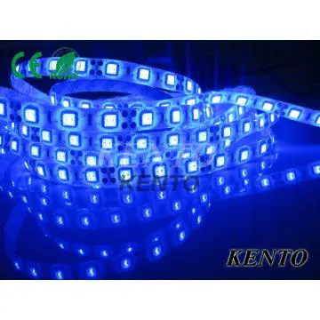 Blue string lights outside Christmas decoration