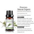 Étiquette privée biologique Essential Rosemary Oil Essential de haute qualité