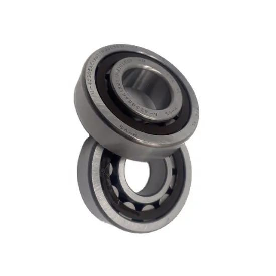 Hot Sale Wear Resistance Single Column Centripetal Thrust Cylindrical Roller Bearings NJ305 25x62x17mm