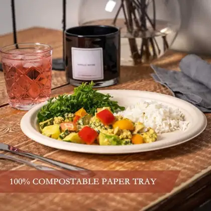 Customized Green Disposable Tableware Lunch Food