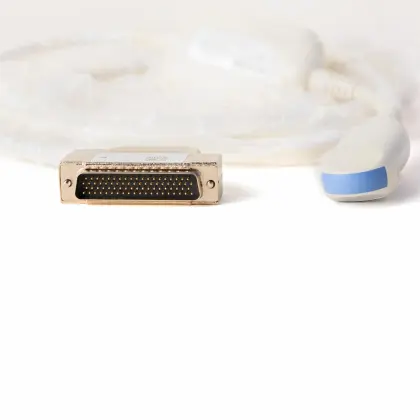 Male polycystic kidney ultrasound diagnostic instrument