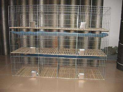 Cages de lapin commerciales pour l&#39;élevage