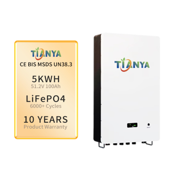Home Energy Solar Lifepo4 Lithium Battery BMS Specifications & MSDS