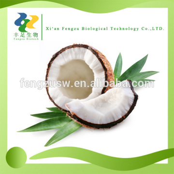 Fresh coconut powder,coconut milk powder bulk supply 96- 100%