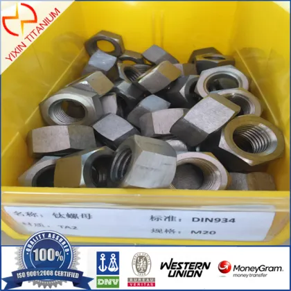 Hexagon Nut-Titanium Gr2-Yixin