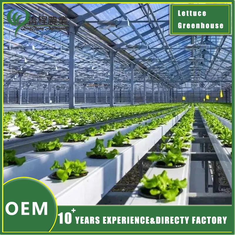 Sustainable Lettuce Production in Controlled Environments