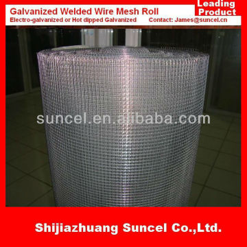 Galvanized Welded Wire Mesh