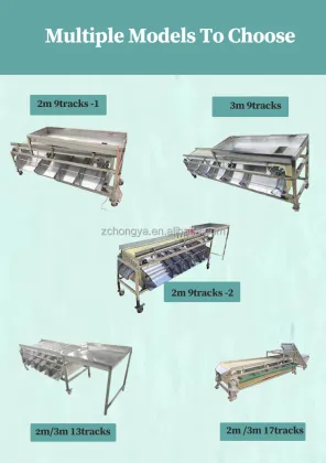 Orbital Type Stainless Steel Olives and Fruit Sorting Machine
