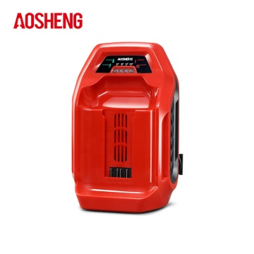 AOSHENG 40V Lithium Battery Quick Charger