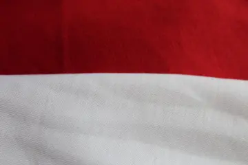 striped cotton jersey fabric