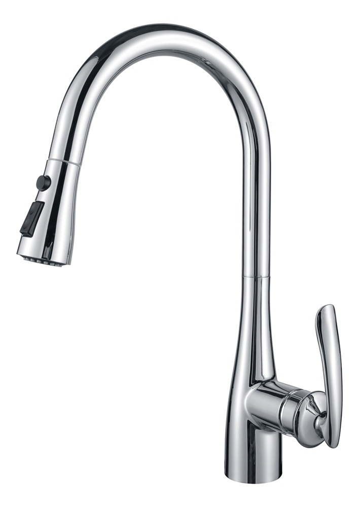 water ridge pull out kitchen faucet