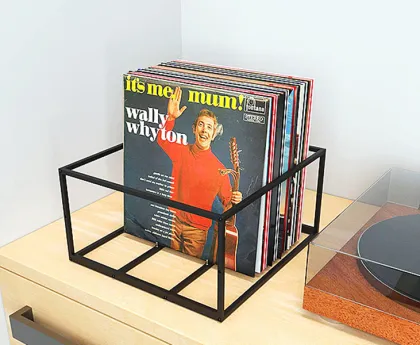Metal Solid Steel Detachable Vinyl Record Album Storage Rack and CD Holder: Organizing Your Music Collection
