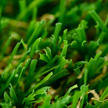 artificial grass carpet for garden landscape