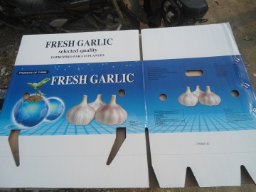 Fresh Good Qulality Normal white garlic