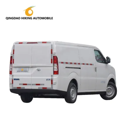 RUICHI RICH EC75 FWD Electric Van - 2 Seats Pure Electric Cargo Van by DFSK