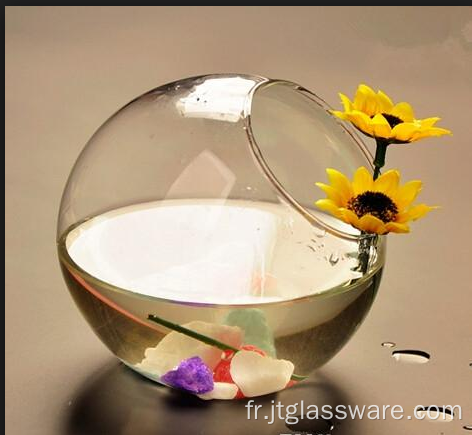 Terrarium en verre pour plantes à boules en verre suspendues