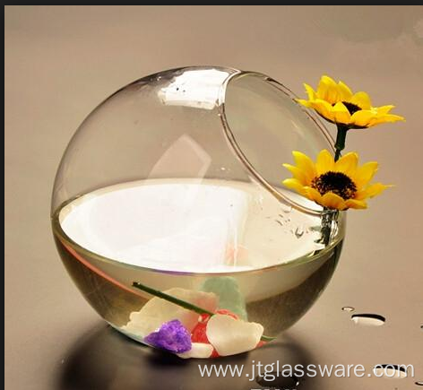 Hanging Glass Globe Ball Plant Glass Terrarium