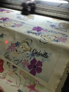 Digital Canvas Printer (Colorful 1625)