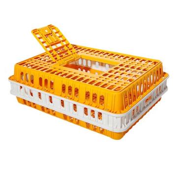 Plastic Transport Cages for Poultry: Quail, Pigeon, and Chicken