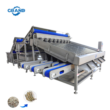 Shrimp Grading Machine for Processing Lines