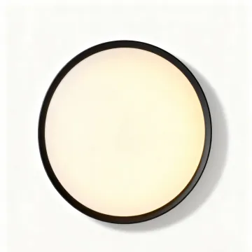 Ceiling light with quick installation