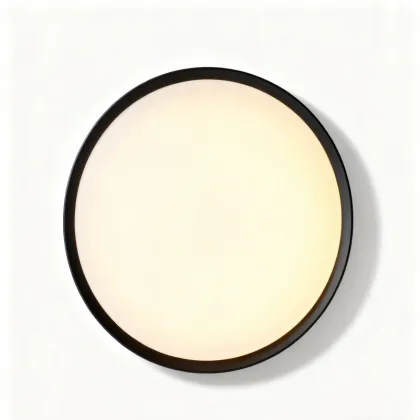 Ceiling light with quick installation