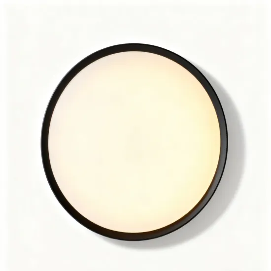 Ceiling light with quick installation