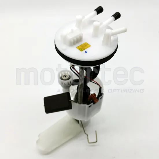 CAR ELECTRONIC FUEL PUMP ASSY 1106100-KA01 for DFSK K05S