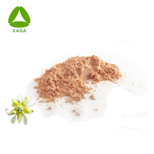 Foaming Quillaja Saponaria Soapbark Extract Saponin