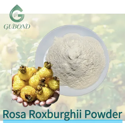 Rosa Roxburghii Fruit Powder for Vitamin C