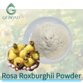 Фруктовый порошок Rosa Roxburghii с витамином С