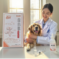 Heart health supplements for senior pets