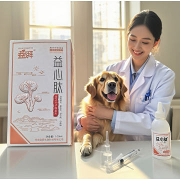 صيغة دعم اعتلال عضلة القلب المتوسعة (DCM).