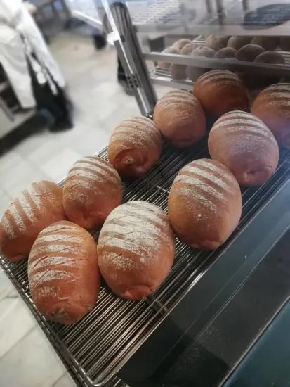 Gas Pizza Oven Outdoor Garden Kitchen Wood Fire Pellet Pizza Oven Maker Home 2 Pizza Oven in for Pizza in Bakery