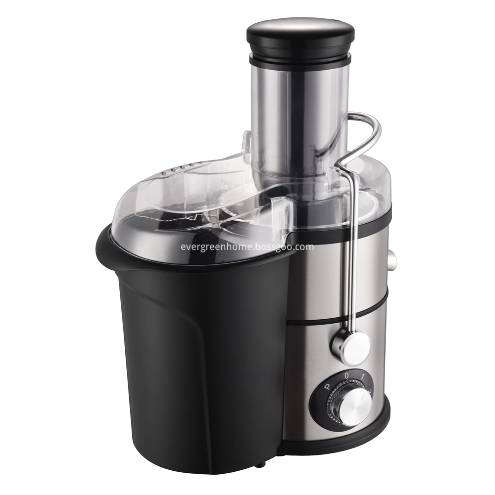 commercial juice extractor